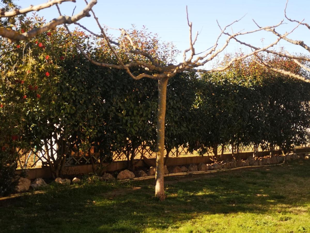 Casa Rural, Masia Antigua Restaurada Begur Exterior foto